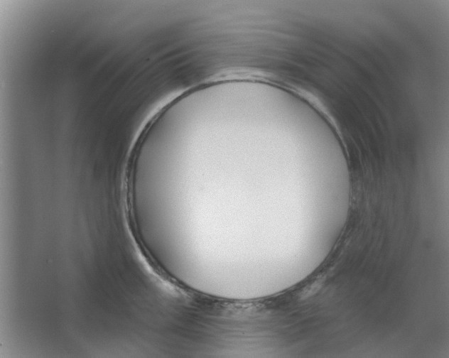 X0000066491003200604141652