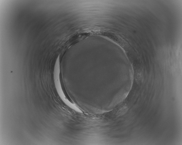 X0000066491010200604141651