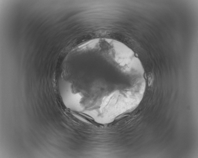 X0000066491011200604141651