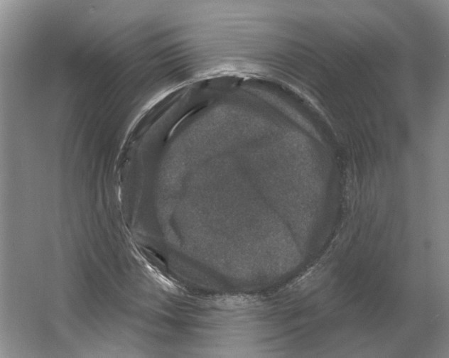 X0000066491018200604141651