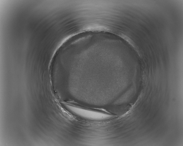 X0000066491022200604141651