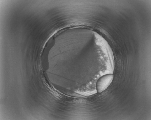 X0000066491023200604141651