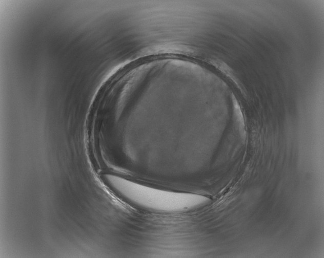 X0000066491024200604141651