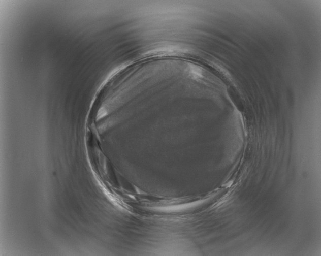 X0000066491034200604141651