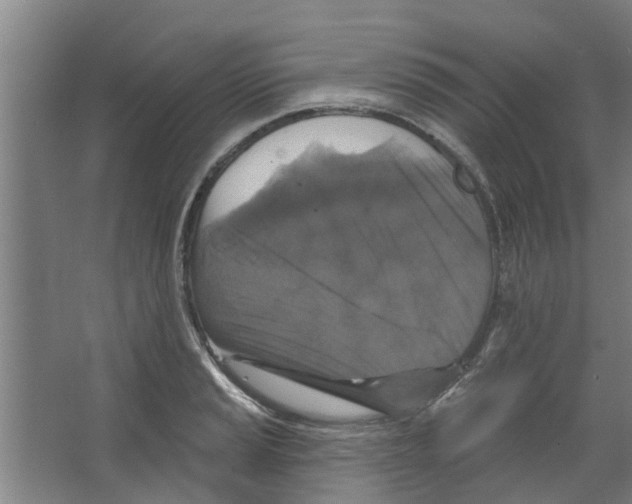 X0000066491037200604141651
