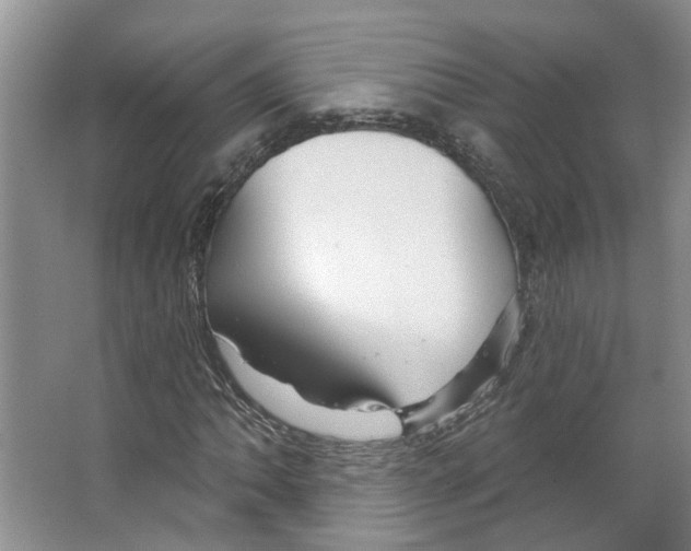 X0000066491062200604141651