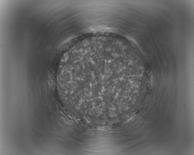 X0000066491063200604141651