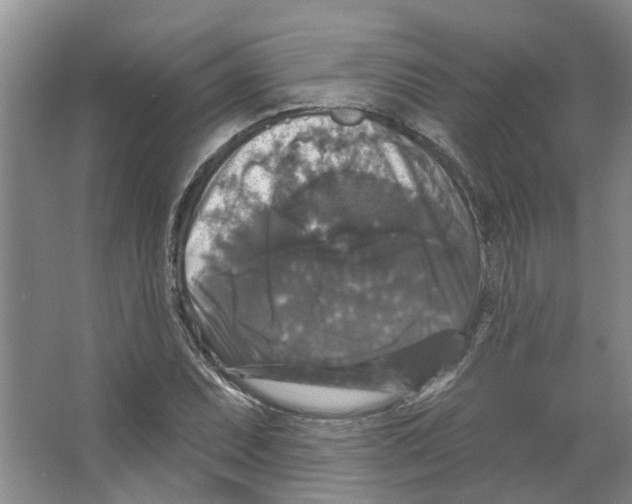 X0000066491071200604141650