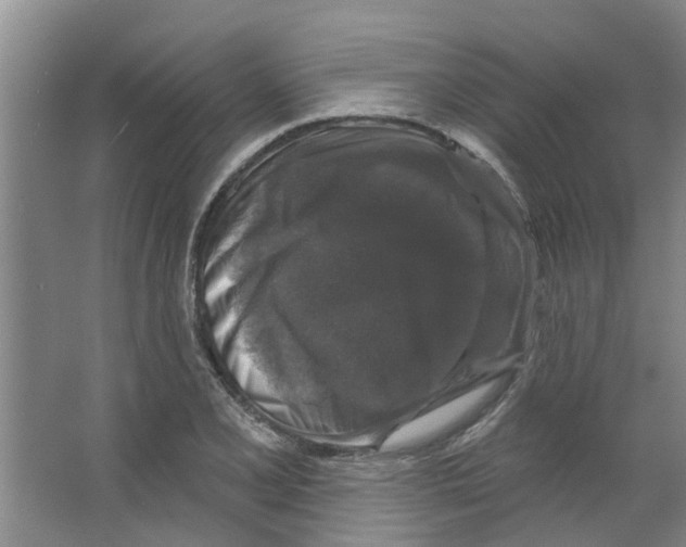 X0000066491077200604141650