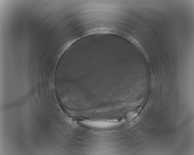 X0000066491081200604141650