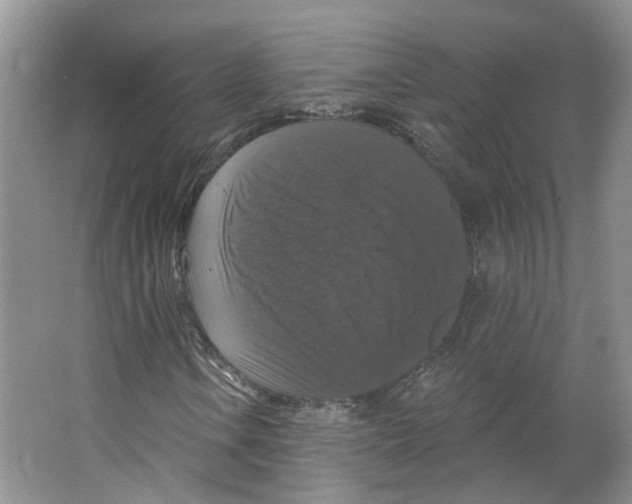 X0000066491106200604141649