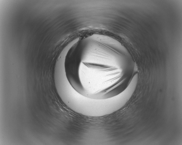 X0000066491110200604141649