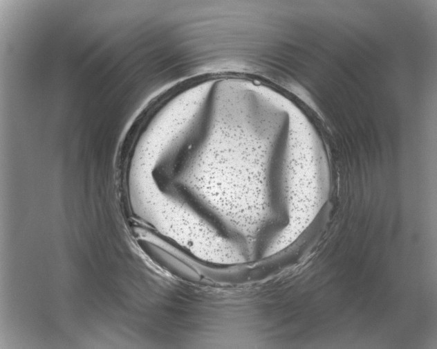X0000066491116200604141649