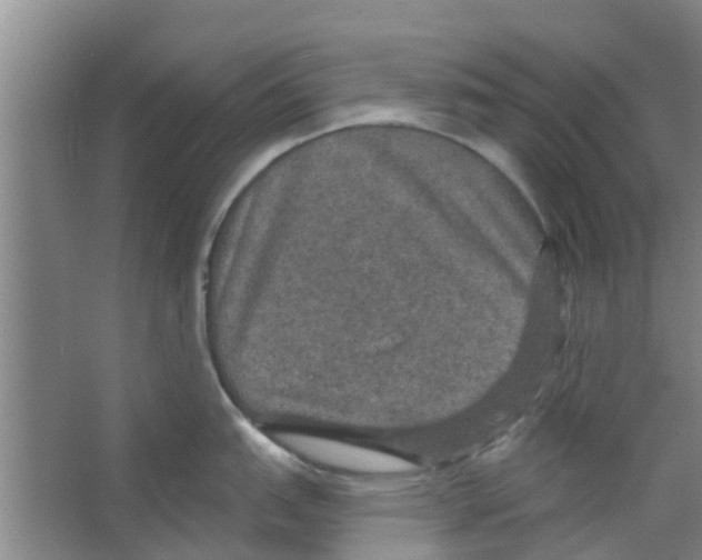 X0000066491151200604141650