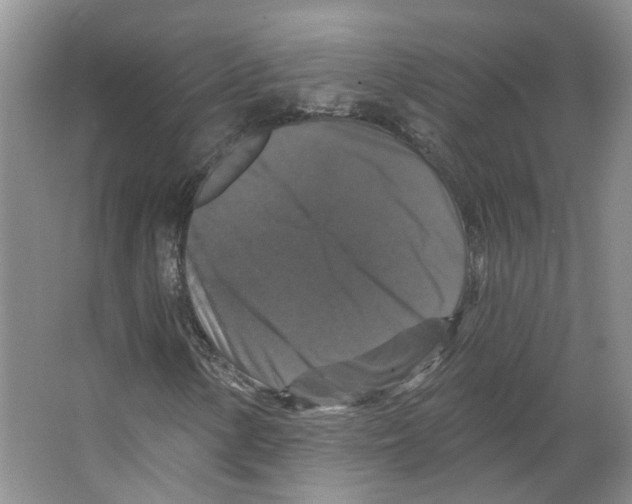 X0000066491154200604141649