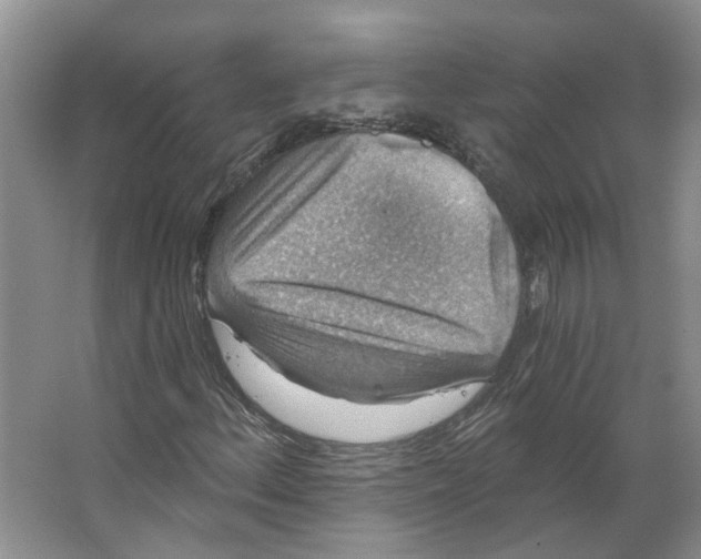 X0000066491156200604141649