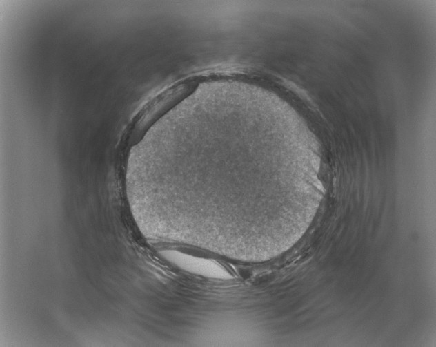 X0000066491160200604141649