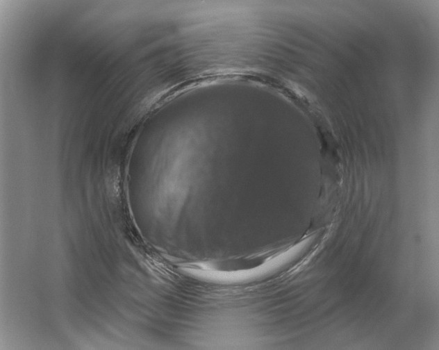 X0000066491161200604141649
