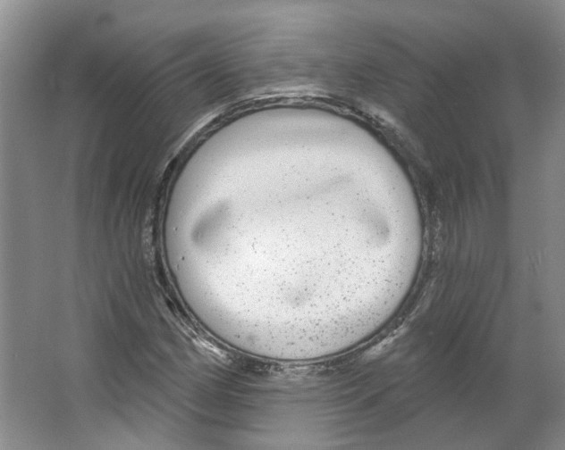 X0000066491162200604141649