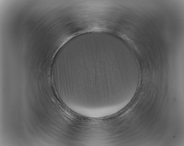 X0000066491170200604141649