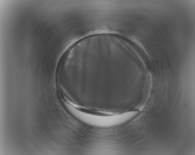 X0000066491173200604141649