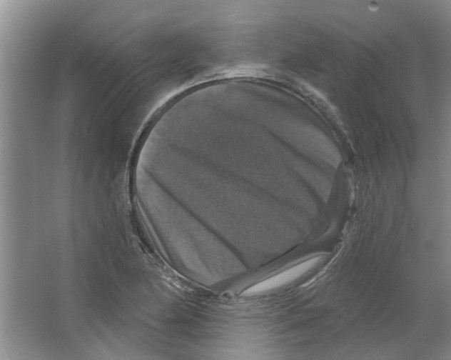 X0000066491174200604141649