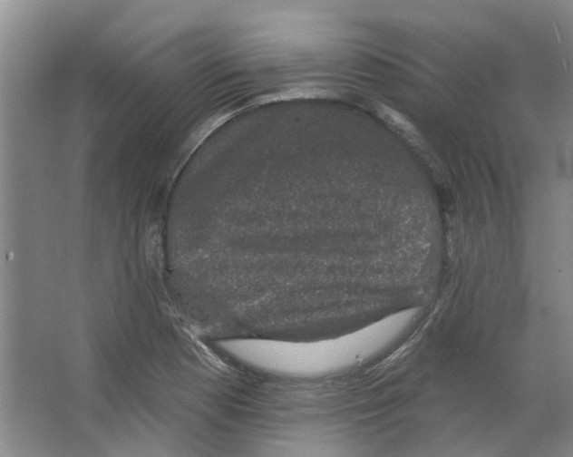 X0000066491177200604141649