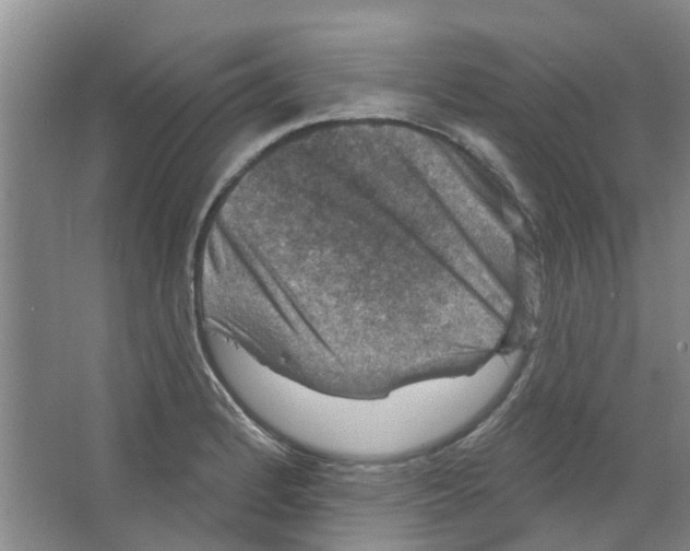 X0000066491184200604141649