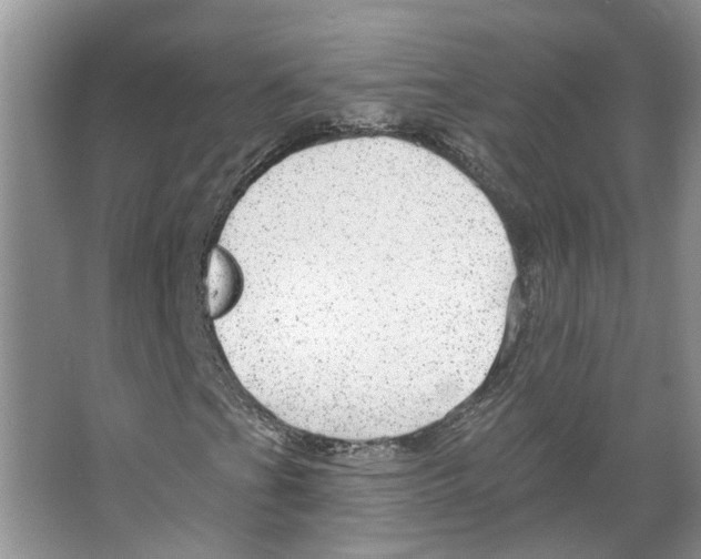 X0000066491201200604141647