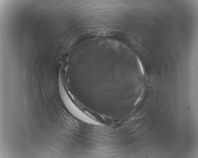 X0000066491202200604141648