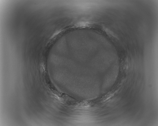 X0000066491206200604141648