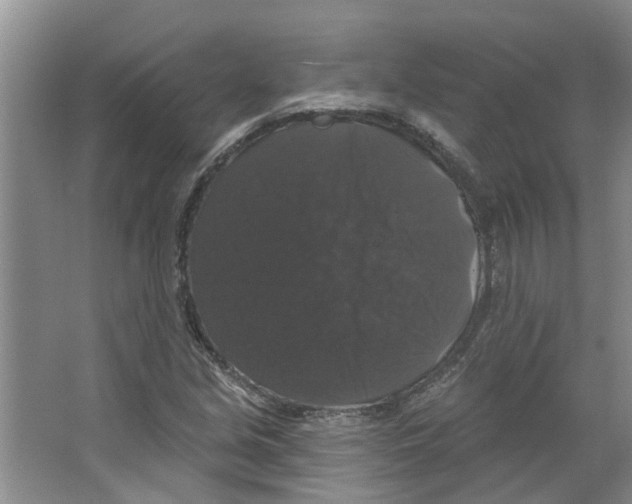 X0000066491213200604141648