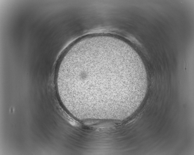 X0000066491216200604141648