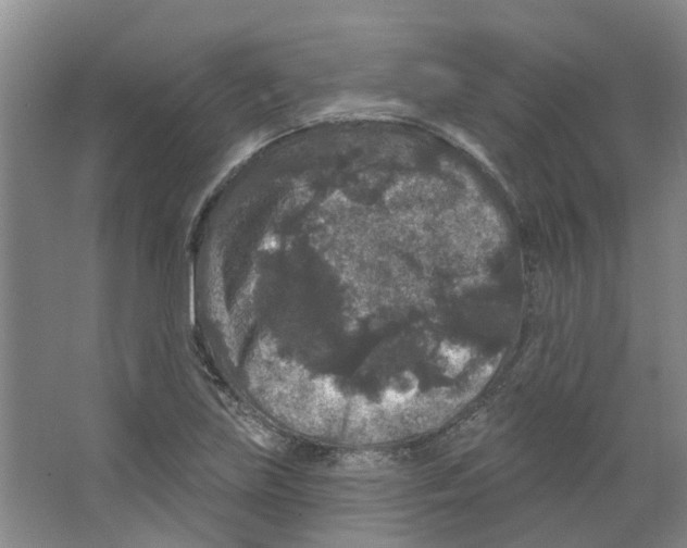 X0000066491219200604141648