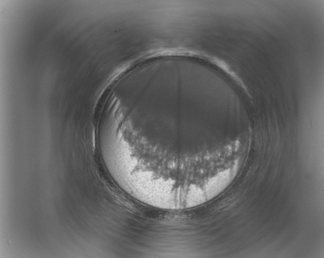 X0000066491221200604141648