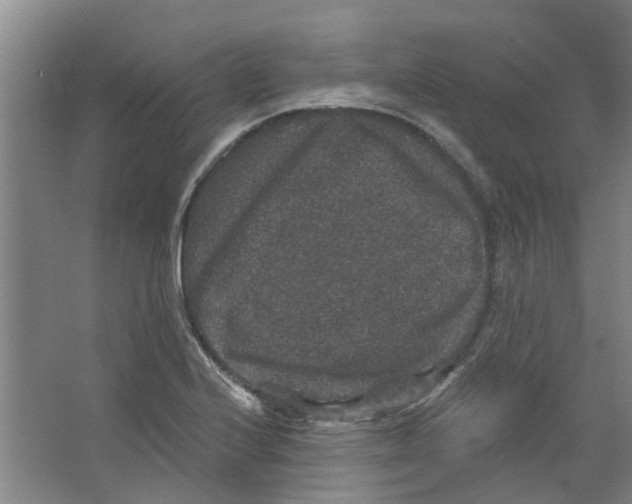 X0000066491224200604141648