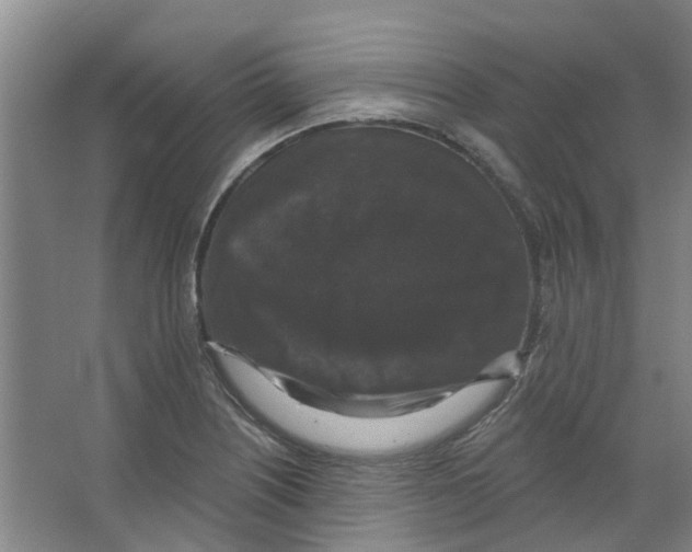 X0000066491226200604141648