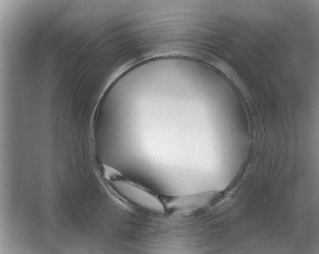 X0000066491242200604141648