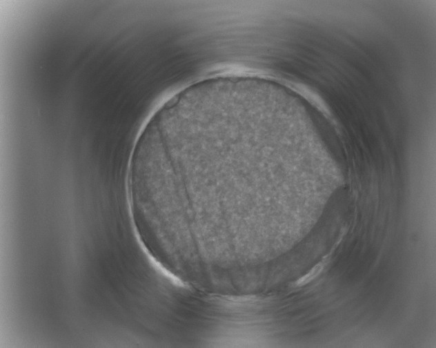 X0000066491247200604141648