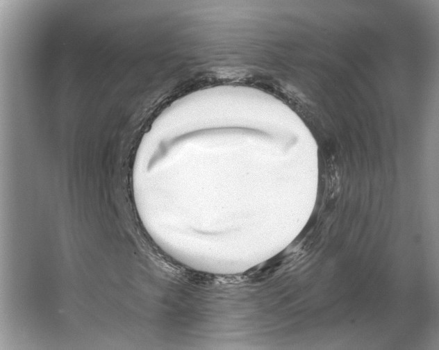 X0000066491249200604141647