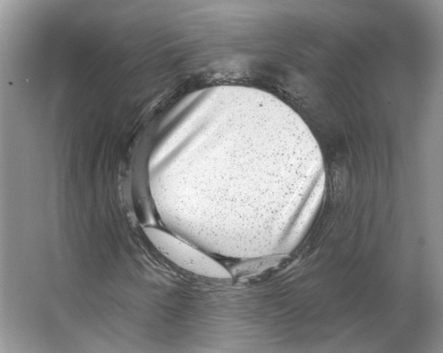 X0000066491250200604141647