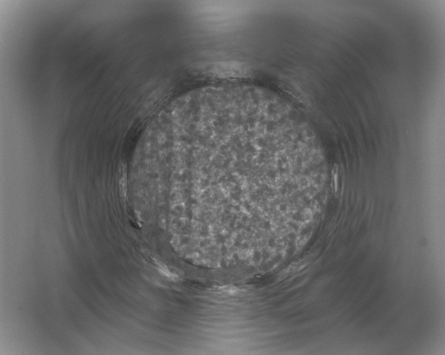 X0000066491251200604141647