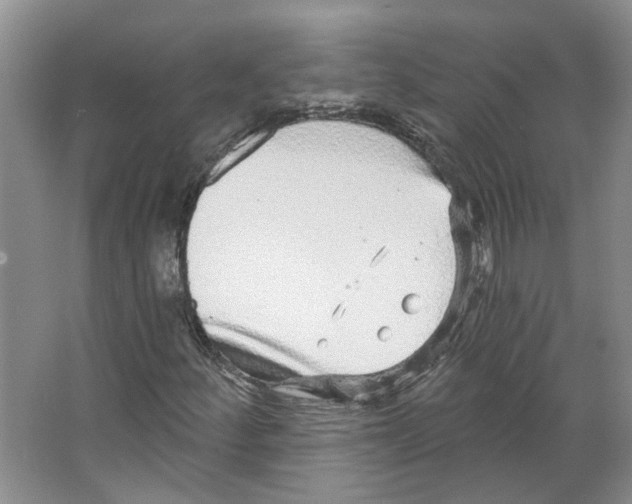 X0000066491252200604141647