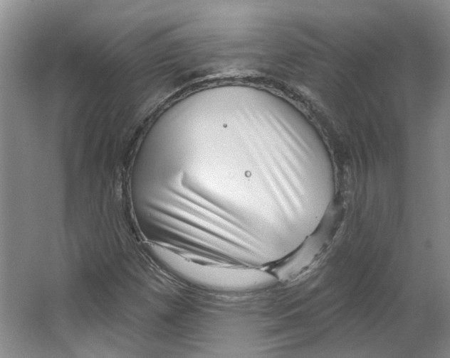 X0000066491257200604141647