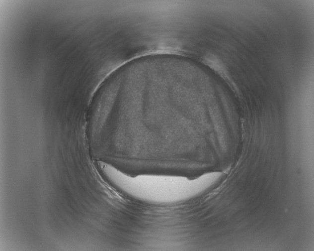 X0000066491260200604141647