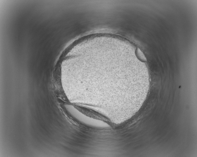 X0000066491264200604141647