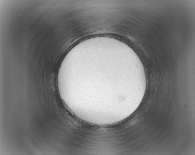 X0000066491265200604141647