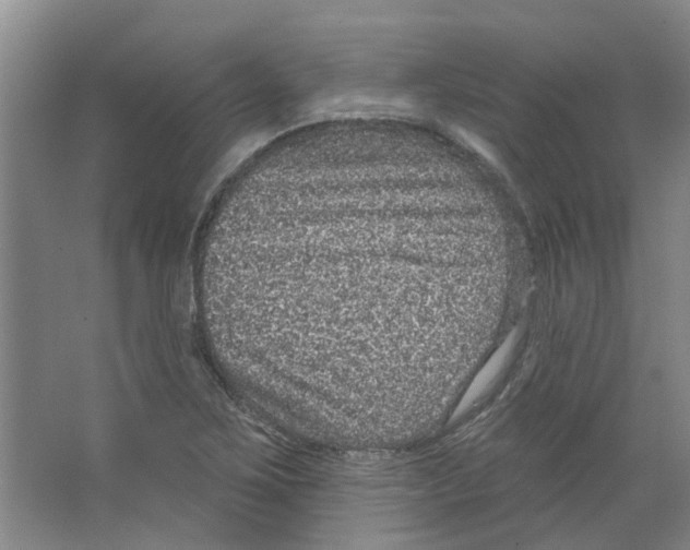 X0000066491267200604141647