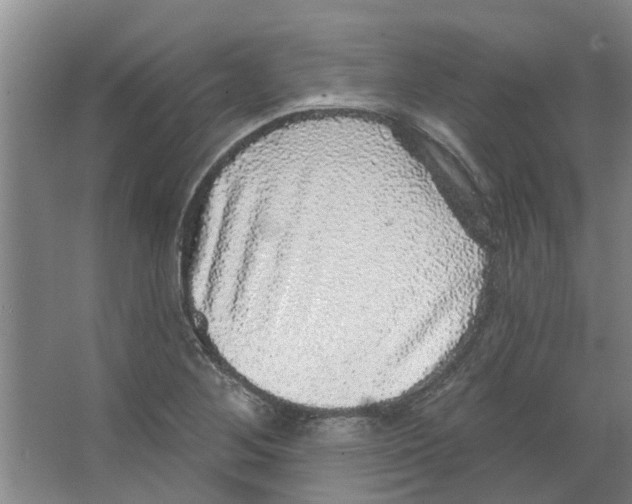 X0000066491268200604141647