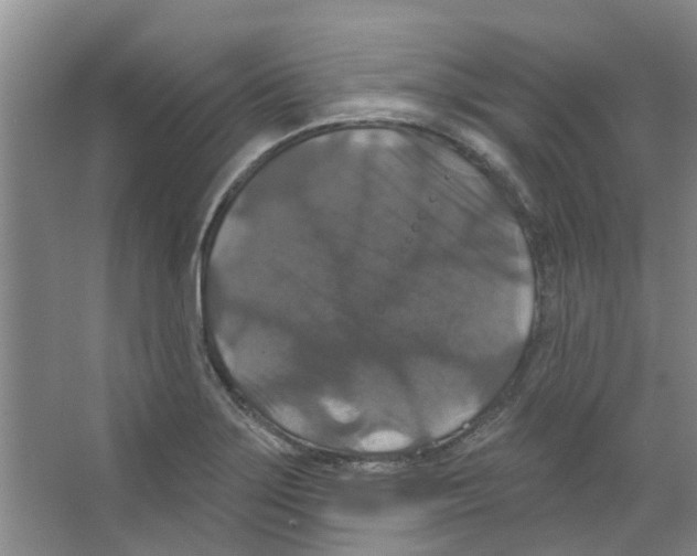 X0000066491275200604141647
